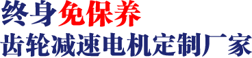 17年專(zhuān)注齒輪減速馬達(dá)、調(diào)速電機(jī)研發(fā)、生產(chǎn)